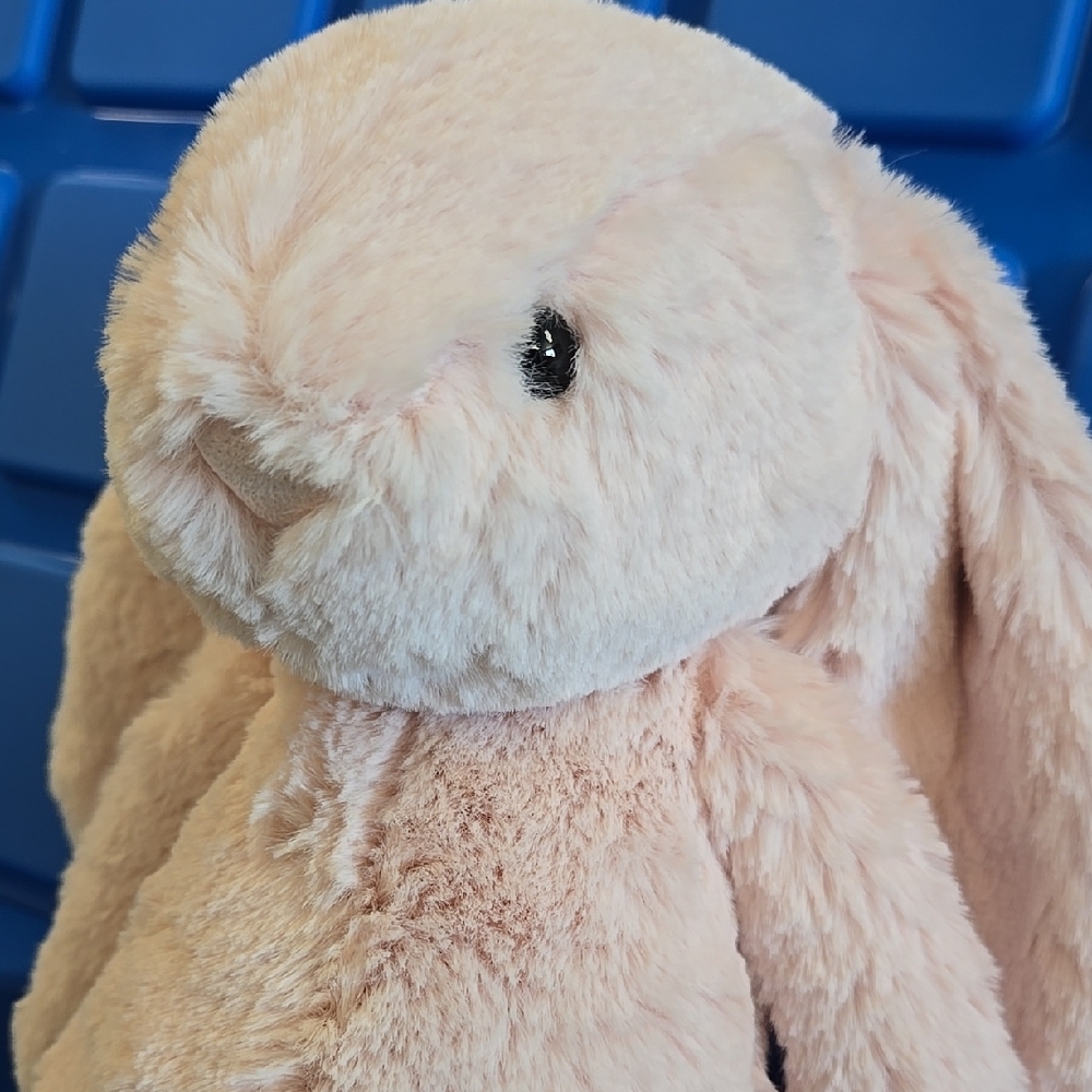 Jellycat Original Bashful Blush Bunny W/ Blue Bag - Picture 4 of 16